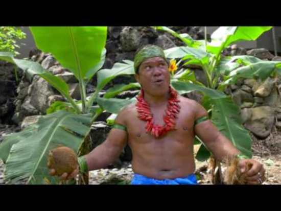 Как разделывают кокосы на Самоа